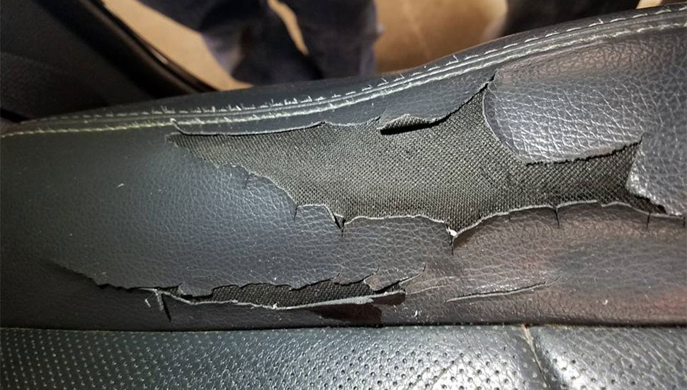 Leather repair and conditioning